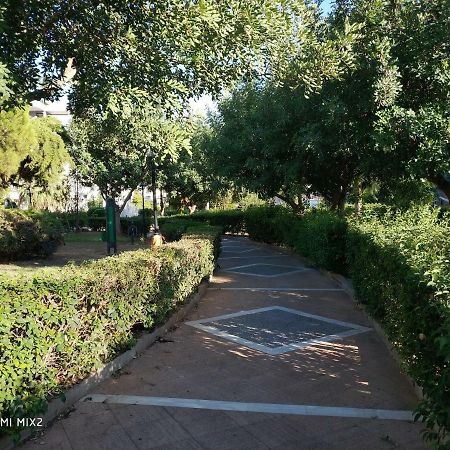 Beautiful House In Alimos Near To The Beach And Metro 雅典 外观 照片
