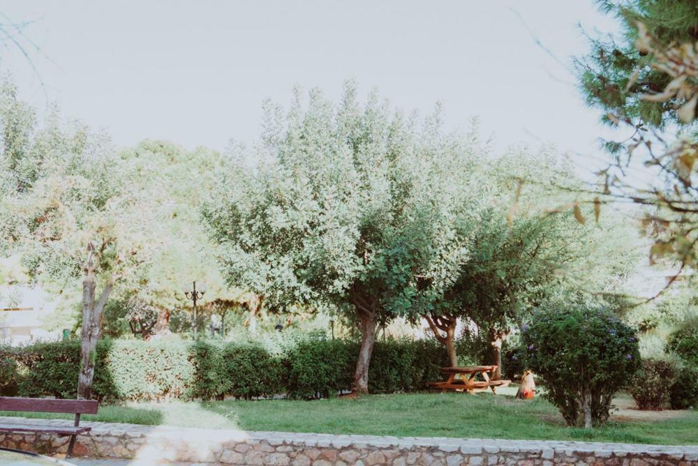Beautiful House In Alimos Near To The Beach And Metro 雅典 外观 照片